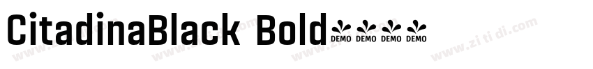 CitadinaBlack Bold字体转换